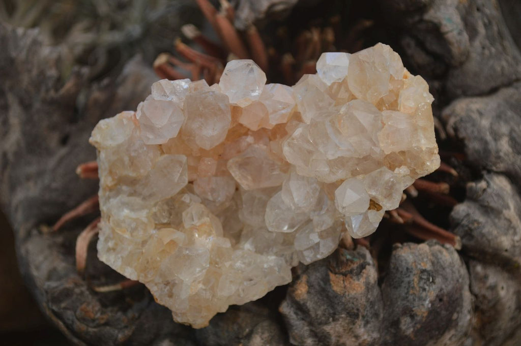 Natural Limonite Quartz Clusters x 12 From Solwezi, Zambia - Toprock Gemstones and Minerals 