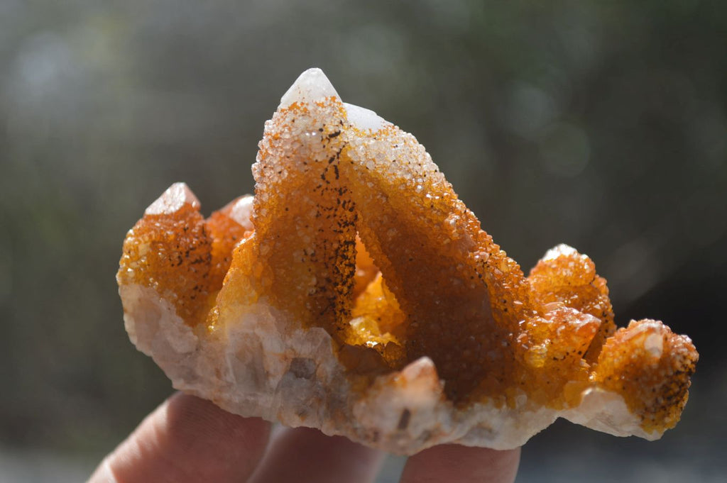 Natural Mixed Selection Of Quartz Clusters x 6 From Southern Africa - Toprock Gemstones and Minerals 