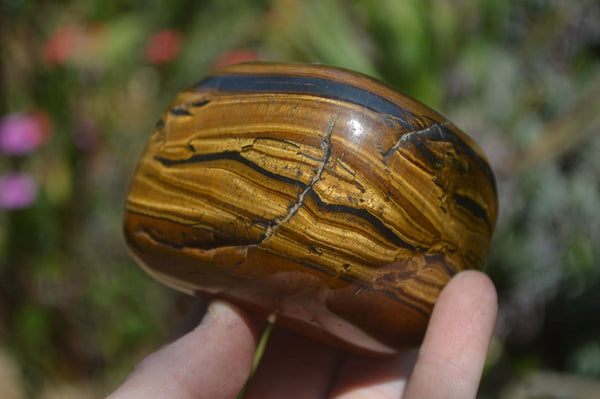 Polished Tiger's Eye Free Forms x 3 From Prieska, South Africa