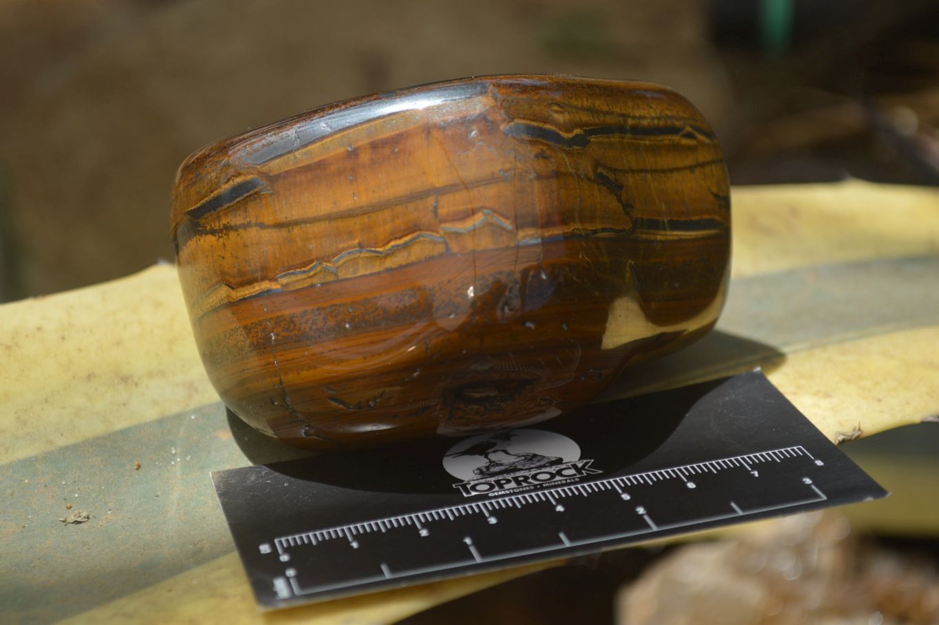 Polished Tiger's Eye Free Forms x 3 From Prieska, South Africa - Toprock Gemstones and Minerals 