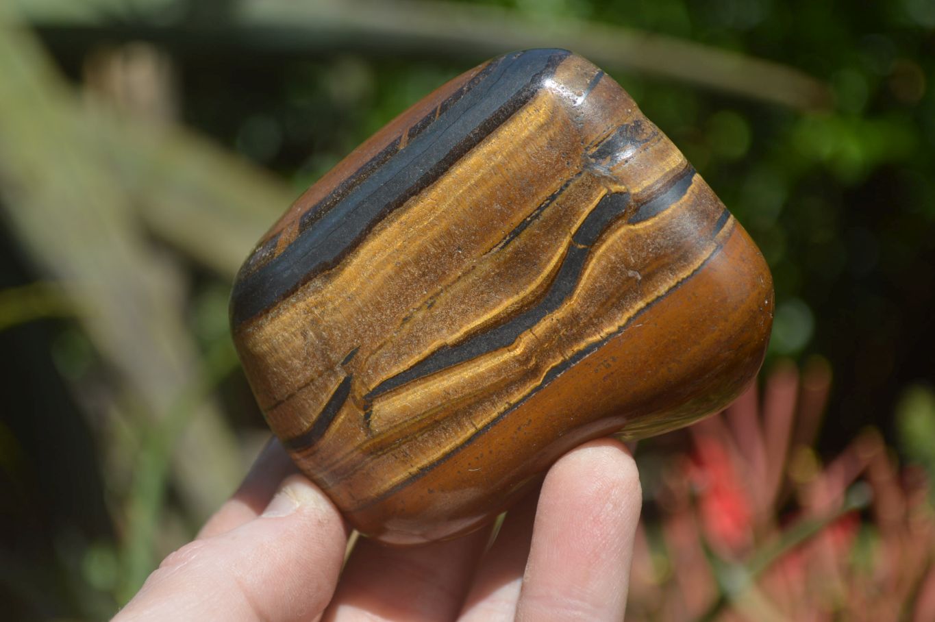 Polished Tiger's Eye Free Forms x 3 From Prieska, South Africa - Toprock Gemstones and Minerals 