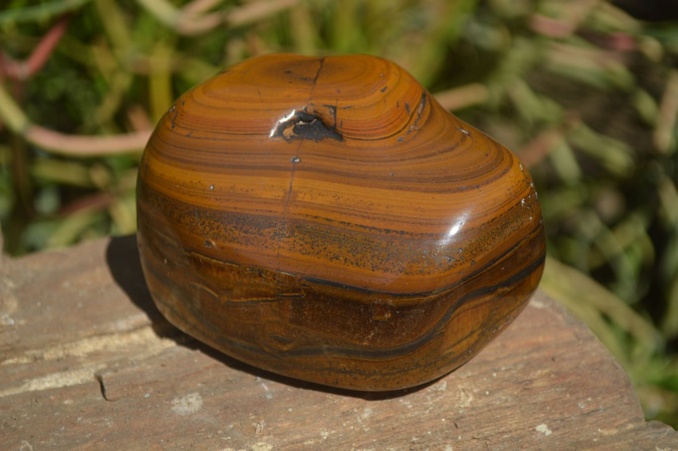 Polished Tiger's Eye Free Forms x 3 From Prieska, South Africa - Toprock Gemstones and Minerals 