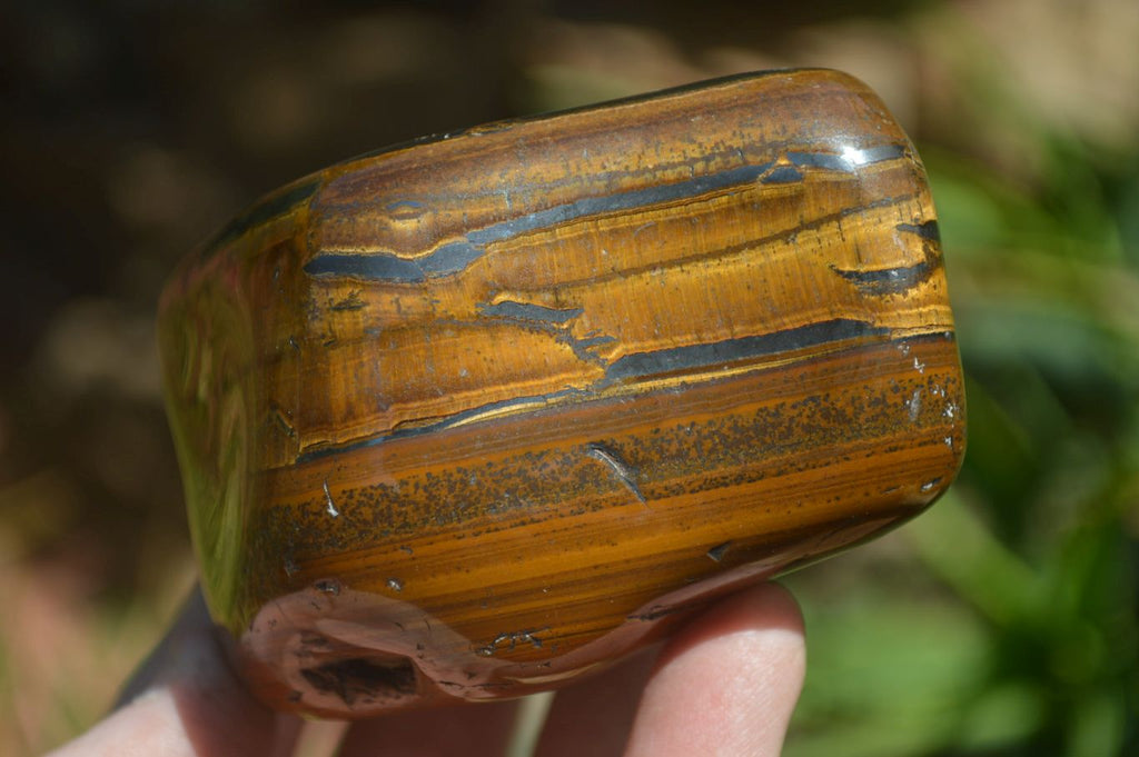 Polished Tiger's Eye Free Forms x 3 From Prieska, South Africa - Toprock Gemstones and Minerals 