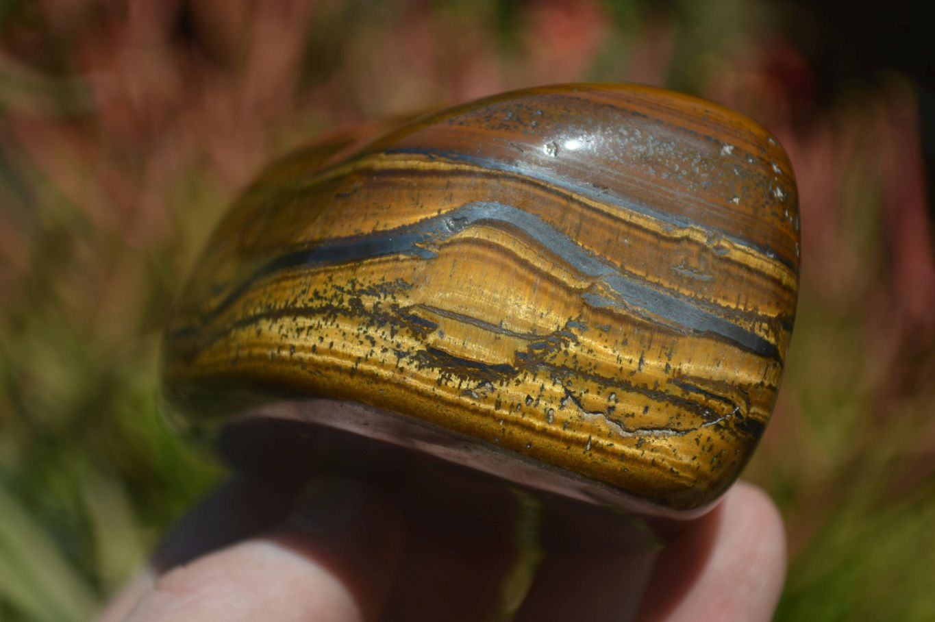 Polished Tiger's Eye Free Forms x 3 From Prieska, South Africa - Toprock Gemstones and Minerals 