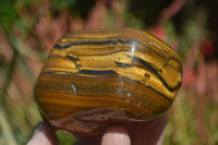 Polished Tiger's Eye Free Forms x 3 From Prieska, South Africa