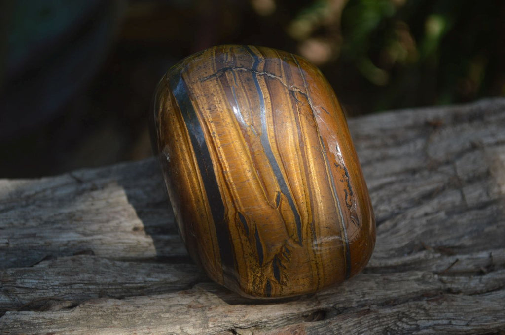 Polished Tiger's Eye Free Forms x 3 From Prieska, South Africa - Toprock Gemstones and Minerals 