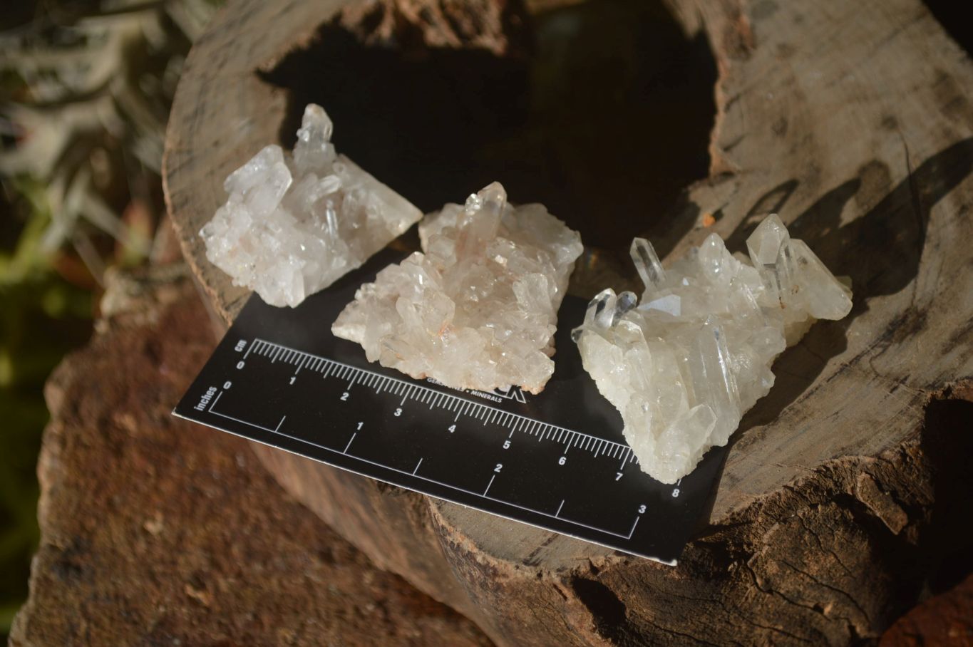 Natural Clear Quartz Clusters x 20 From Madagascar - Toprock Gemstones and Minerals 