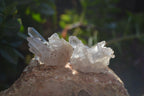 Natural Clear Quartz Clusters x 20 From Madagascar - Toprock Gemstones and Minerals 