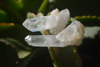 Natural Clear Quartz Clusters x 20 From Madagascar - Toprock Gemstones and Minerals 