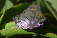 Natural Metallic Purpurite Cobbed Specimens x 6 From Erongo, Namibia - Toprock Gemstones and Minerals 