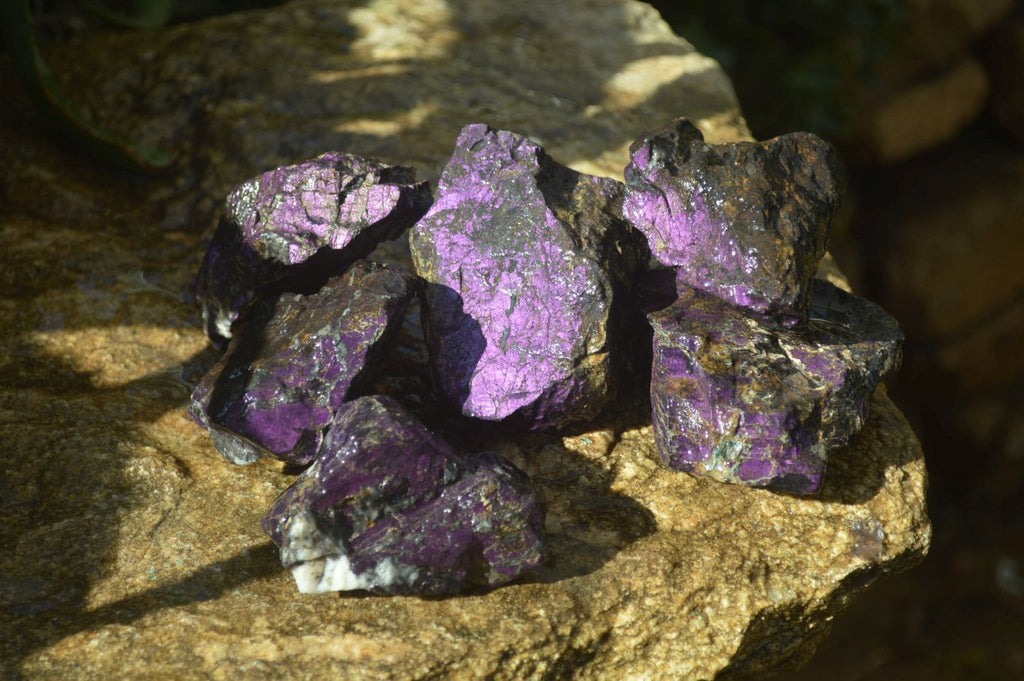 Natural Metallic Purpurite Cobbed Specimens x 6 From Erongo, Namibia - Toprock Gemstones and Minerals 