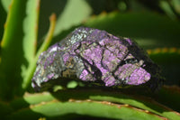 Natural Metallic Purpurite Cobbed Specimens x 6 From Erongo, Namibia - Toprock Gemstones and Minerals 