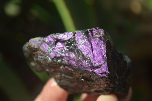 Natural Metallic Purpurite Cobbed Specimens x 6 From Erongo, Namibia - Toprock Gemstones and Minerals 