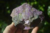 Natural Assortment Of Cobbed Specimens x 12 From Southern Africa - Toprock Gemstones and Minerals 
