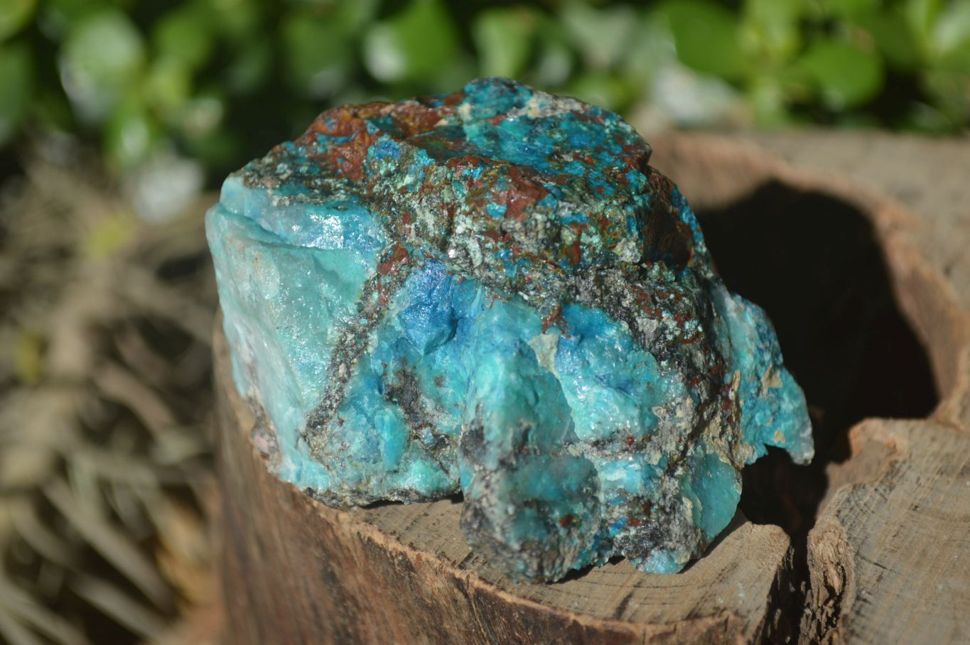 Natural Assortment Of Cobbed Specimens x 12 From Southern Africa - Toprock Gemstones and Minerals 