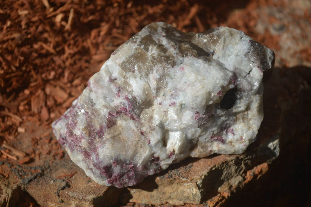 Natural Assortment Of Cobbed Specimens x 12 From Southern Africa - Toprock Gemstones and Minerals 