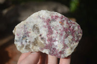 Natural Assortment Of Cobbed Specimens x 12 From Southern Africa - Toprock Gemstones and Minerals 