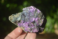 Natural Assortment Of Cobbed Specimens x 12 From Southern Africa - Toprock Gemstones and Minerals 