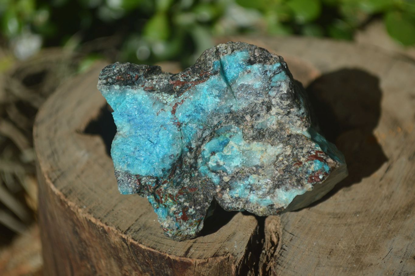 Natural Assortment Of Cobbed Specimens x 12 From Southern Africa - Toprock Gemstones and Minerals 