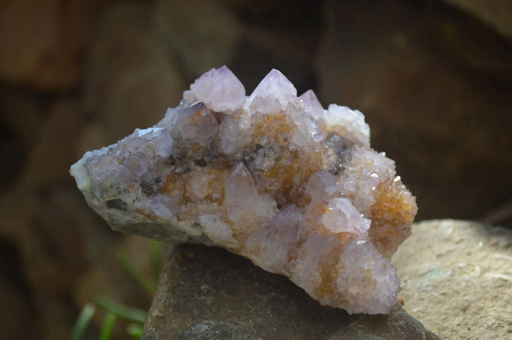 Natural Ametrine Spirit Quartz Clusters x 4 From Boekenhouthoek, South Africa - Toprock Gemstones and Minerals 