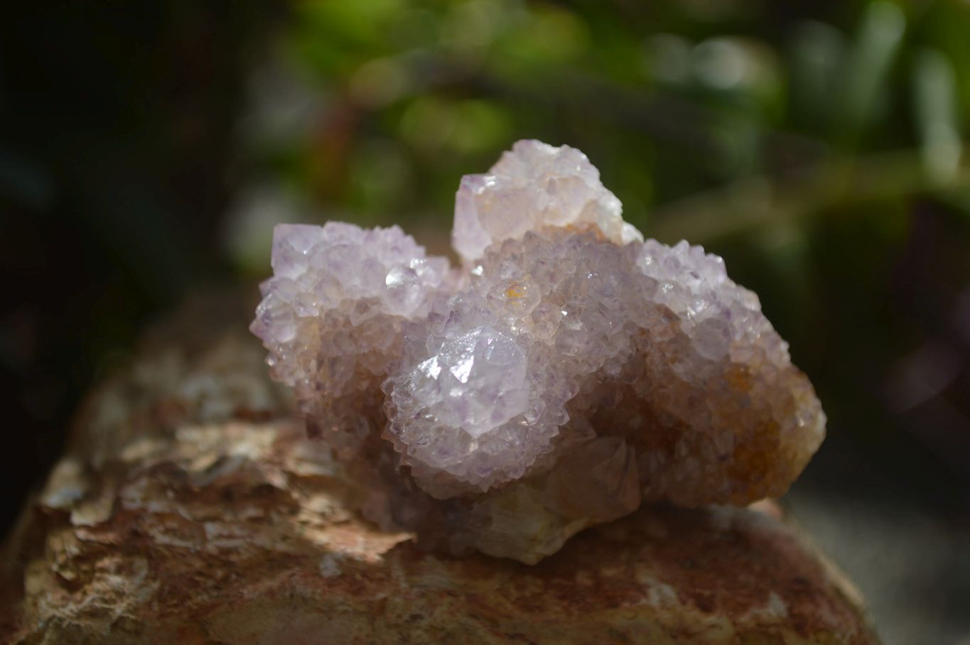 Natural Ametrine Spirit Quartz Clusters x 4 From Boekenhouthoek, South Africa - Toprock Gemstones and Minerals 