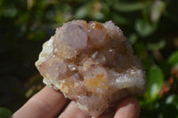 Natural Ametrine Spirit Quartz Clusters x 4 From Boekenhouthoek, South Africa - Toprock Gemstones and Minerals 