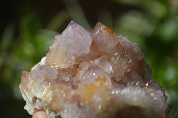 Natural Ametrine Spirit Quartz Clusters x 4 From Boekenhouthoek, South Africa