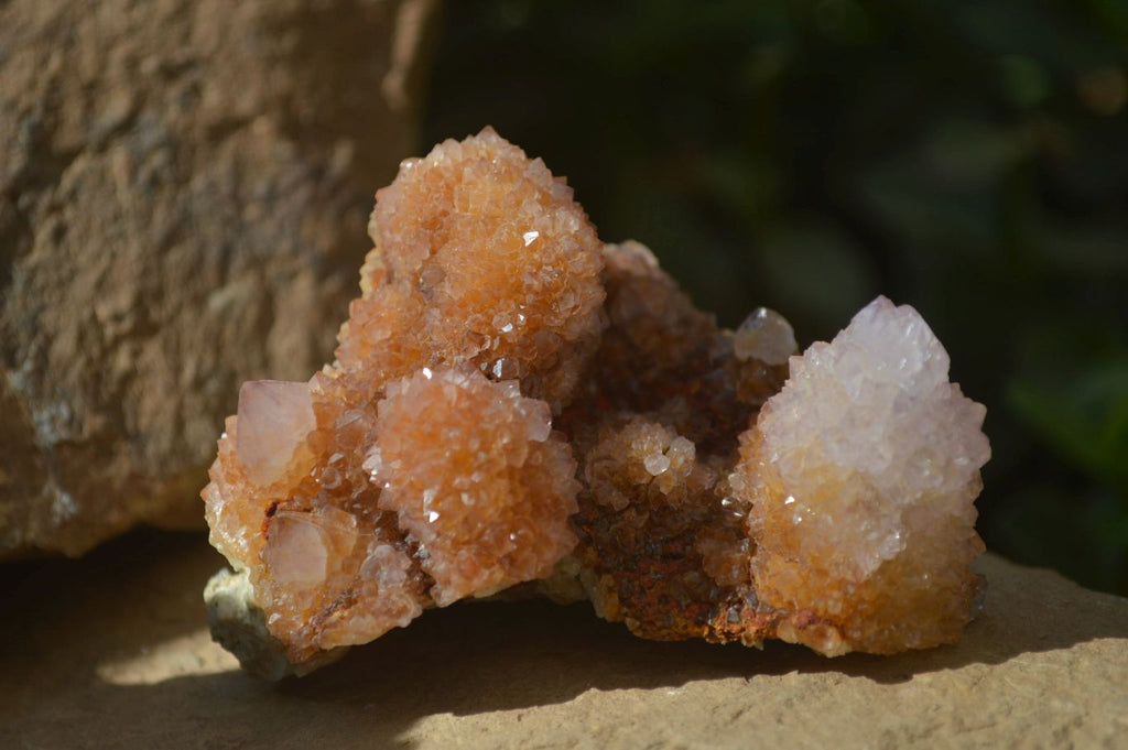 Natural Ametrine Spirit Quartz Clusters x 4 From Boekenhouthoek, South Africa - Toprock Gemstones and Minerals 