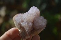 Natural Ametrine Spirit Quartz Clusters x 4 From Boekenhouthoek, South Africa - Toprock Gemstones and Minerals 