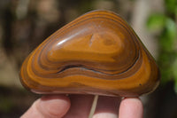 Polished Tiger's Eye Free Forms x 5 From Prieska, South Africa