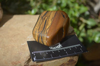 Polished Tiger's Eye Free Forms x 5 From Prieska, South Africa