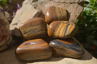 Polished Tiger's Eye Free Forms x 5 From Prieska, South Africa