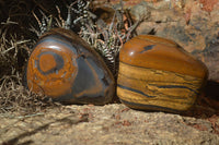 Polished Tiger's Eye Free Forms x 5 From Prieska, South Africa