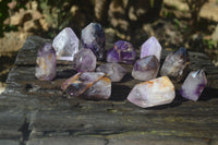 Polished Smokey Amethyst Window Quartz Crystals x 12 From Akansobe, Madagascar - Toprock Gemstones and Minerals 