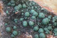 Natural Ball Malachite On Quartz Matrix Specimen x 1 From Kambove, Congo - Toprock Gemstones and Minerals 