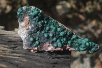 Natural Ball Malachite On Quartz Matrix Specimen x 1 From Kambove, Congo - Toprock Gemstones and Minerals 
