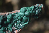 Natural Ball Malachite On Quartz Matrix Specimen x 1 From Kambove, Congo - Toprock Gemstones and Minerals 