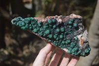 Natural Ball Malachite On Quartz Matrix Specimen x 1 From Kambove, Congo - Toprock Gemstones and Minerals 