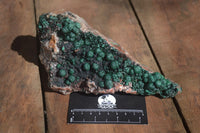 Natural Ball Malachite On Quartz Matrix Specimen x 1 From Kambove, Congo - Toprock Gemstones and Minerals 