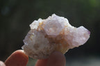 Natural Cactus Flower Spirit Quartz Clusters x 12 From Boekenhouthoek, South Africa - Toprock Gemstones and Minerals 