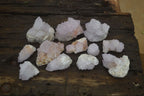 Natural Cactus Flower Spirit Quartz Clusters x 12 From Boekenhouthoek, South Africa - Toprock Gemstones and Minerals 