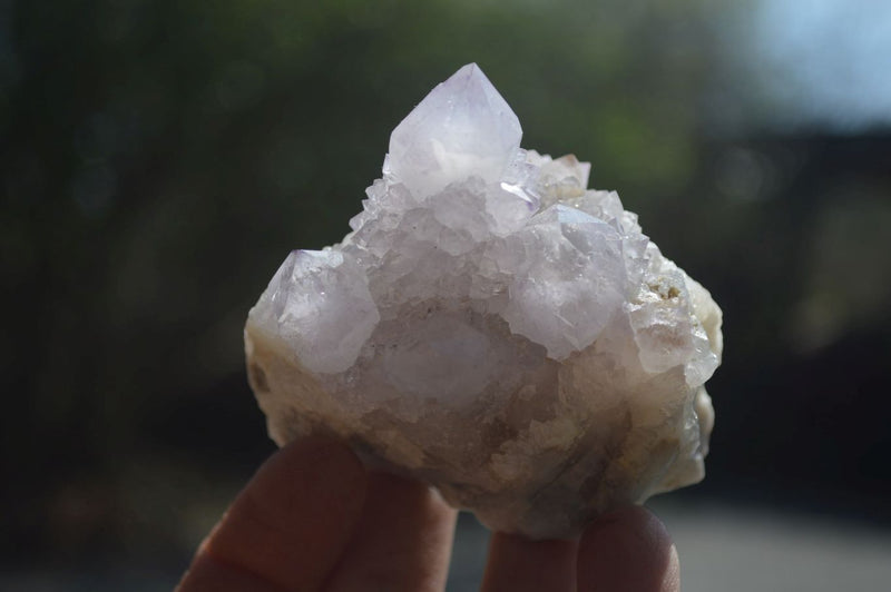 Natural Cactus Flower Spirit Quartz Clusters x 12 From Boekenhouthoek, South Africa - Toprock Gemstones and Minerals 