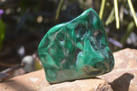 Polished Flower Banded Malachite Free Forms x 6 From Congo - Toprock Gemstones and Minerals 
