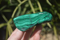 Polished Flower Banded Malachite Free Forms x 6 From Congo - Toprock Gemstones and Minerals 