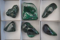 Polished Flower Banded Malachite Free Forms x 6 From Congo - Toprock Gemstones and Minerals 