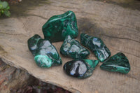 Polished Flower Banded Malachite Free Forms x 6 From Congo - Toprock Gemstones and Minerals 