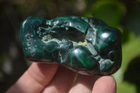 Polished Flower Banded Malachite Free Forms x 6 From Congo - Toprock Gemstones and Minerals 