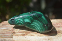 Polished Flower Banded Malachite Free Forms x 6 From Congo - Toprock Gemstones and Minerals 