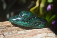 Polished Flower Banded Malachite Free Forms x 6 From Congo - Toprock Gemstones and Minerals 