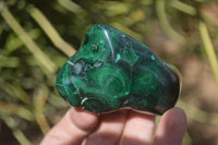 Polished Flower Banded Malachite Free Forms x 6 From Congo - Toprock Gemstones and Minerals 